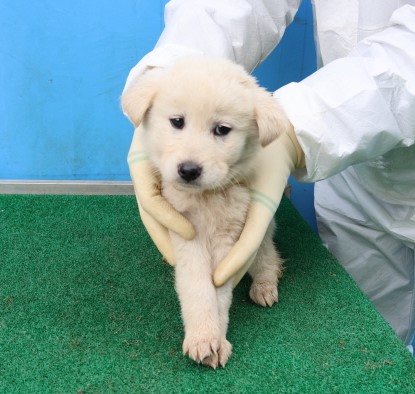 제주 동물보호센터_450650202500565